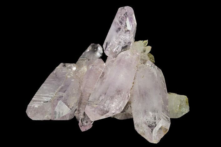 Amethyst Crystal Cluster - Las Vigas, Mexico #165642